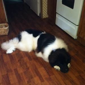 Meet your Posher, Teri